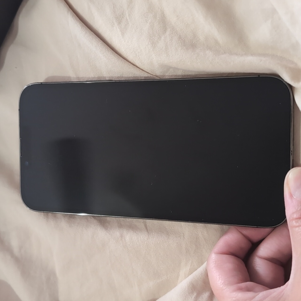iPhone 13 pro max